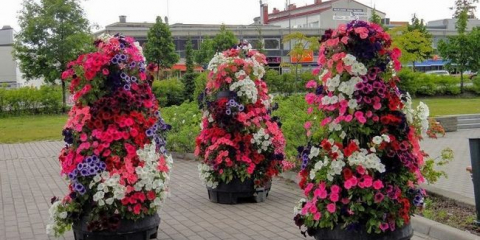 Vytvořte svislé záhony s vlastními rukama!